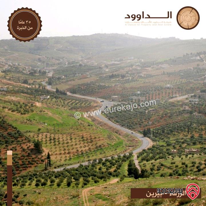 اراضي مساحة 500م للبيع في الزرقاء - جريبا 