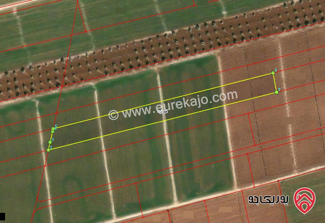 قطعة ارض زراعية مساحة 4 دونم و 445م للبيع في اربد - منطقة حوارة  - شمال طريق ابو البصل (طريق حوارة الرمثا قديماً) - الاصيلة الوسطى  
