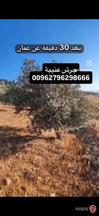 قطعة ارض استثمارية مساحة 3 دونم و 400م للبيع في جرش عنيبة