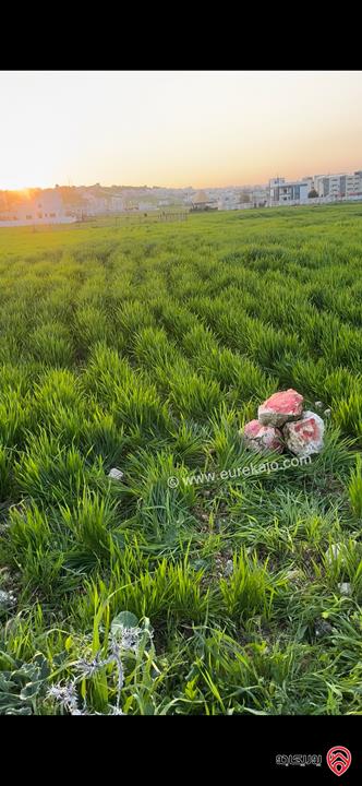 ارض مساحة 606م للبيع في اربد - الصريح حوض الماصية الشمالية 