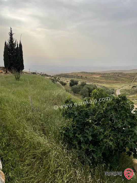 قطعة أرض مميزة مساحة 5 دونم للبيع في عمان - ناعور المشقر