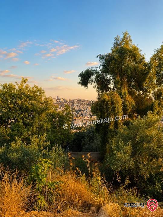 قطعة ارض مساحة 647م للبيع في عمان - بدر الجديدة