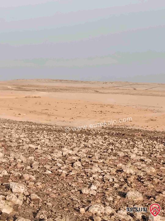 قطعة ارض مساحتها 20 دونم كل 10 دونم بسند تسجيل مستقل للبيع في المفرق