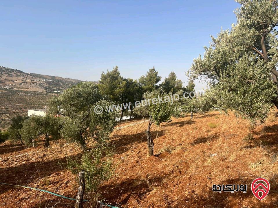 قطعة أرض ريفية مساحة 7 دونم للبيع في في جرش سوف حوض بيدر الحمص 