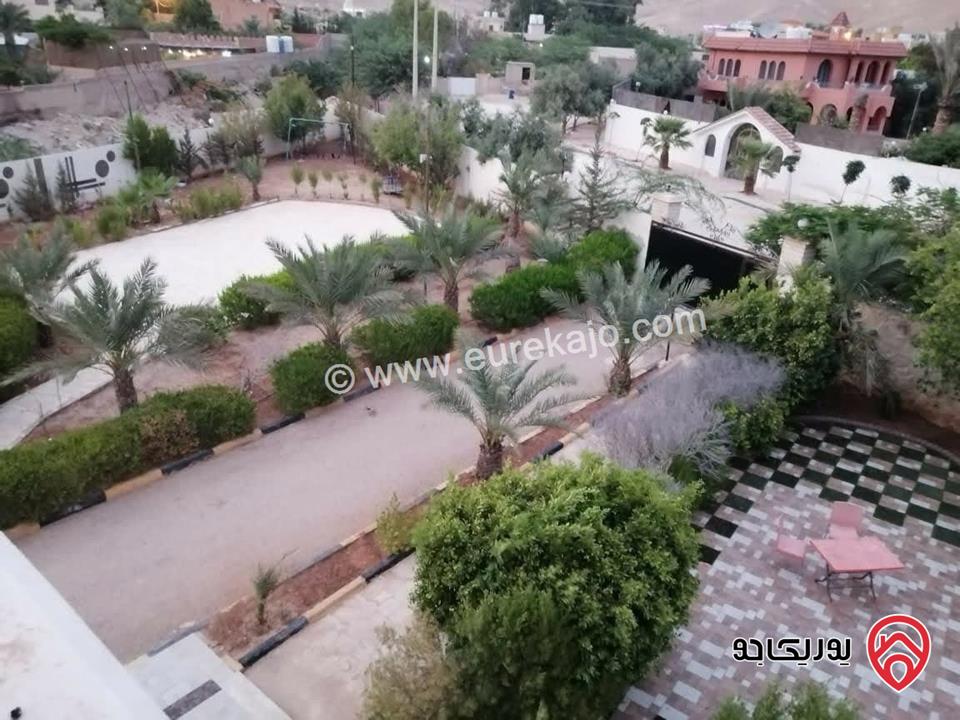 مزرعة للبيع في البحر الميت مساحة 4 دنم فرصة ذهبية للاستثمار والرفاهية