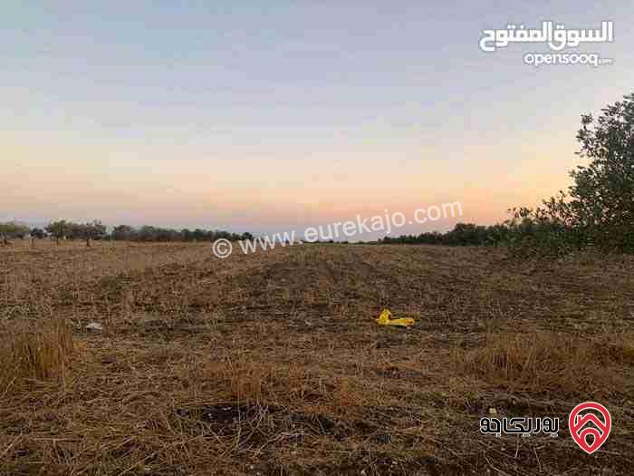 قطعة ارض مساحة 20.238 دونم للبيع في اربد - ام قيس 