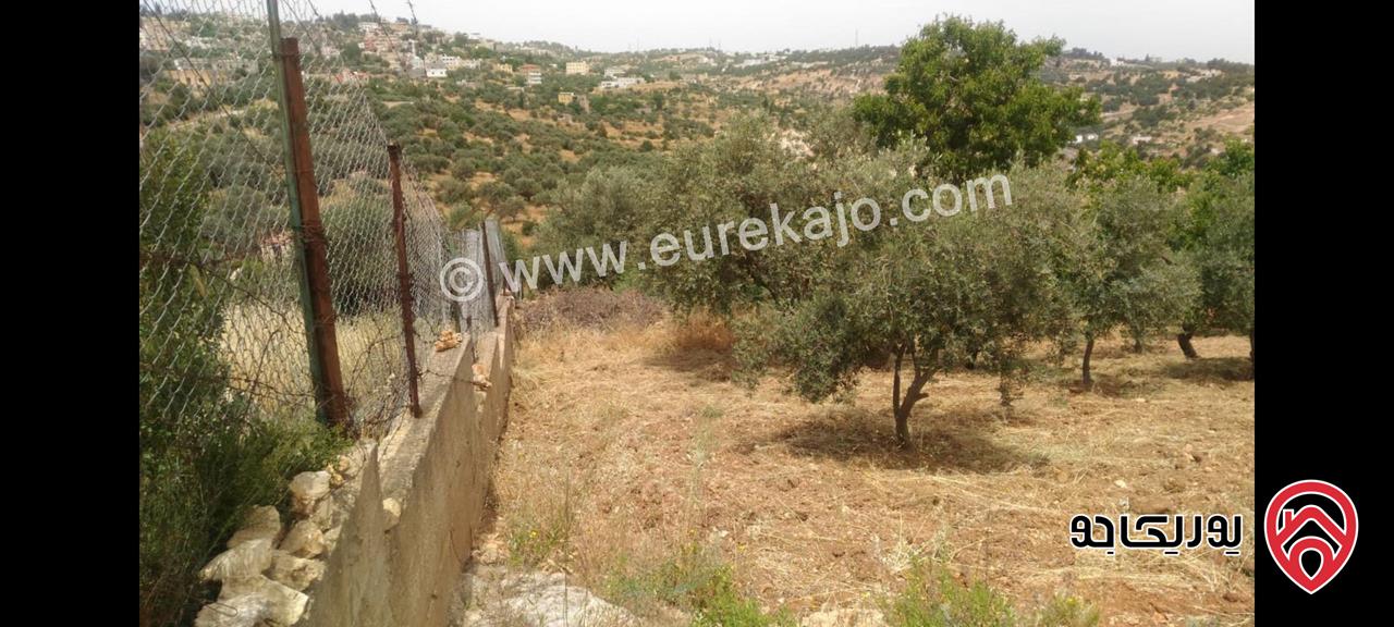 أرض مساحة 1693.4 متر مربع للبيع في أم جوزة – السلط