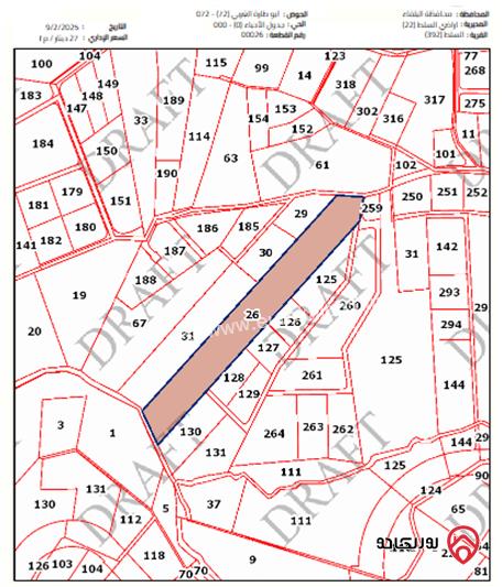 أرض مساحة 32000 للبيع في السلط