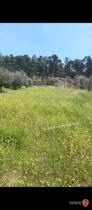 قطعة أرض مساحة 1 دونم و400م مشترك للبيع في جرش - ام خروبة