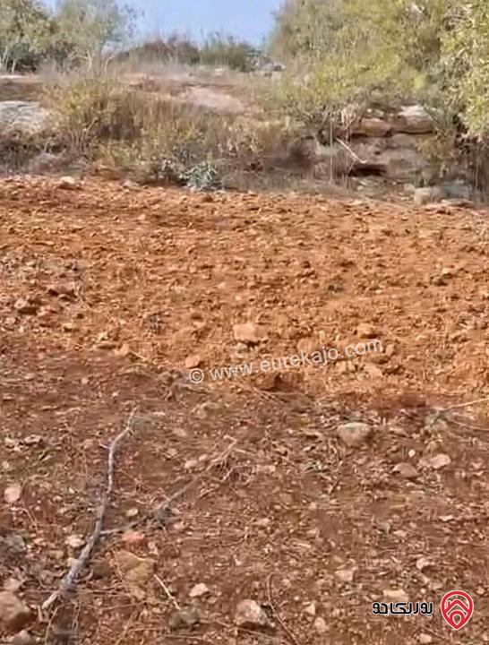 أرض مساحة 5 دونم و 603م للبيع في اربد - ملكا