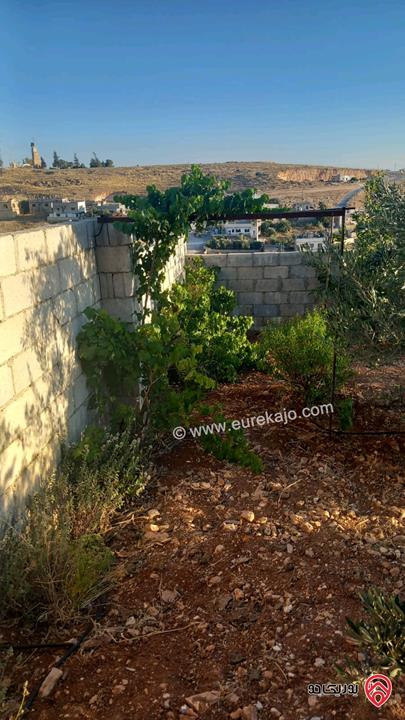 قطعة أرض مساحة 1 دونم تصنيف أ يوجد فيها بيت ريفي و 80 شجرة للبيع في المفرق - رحاب