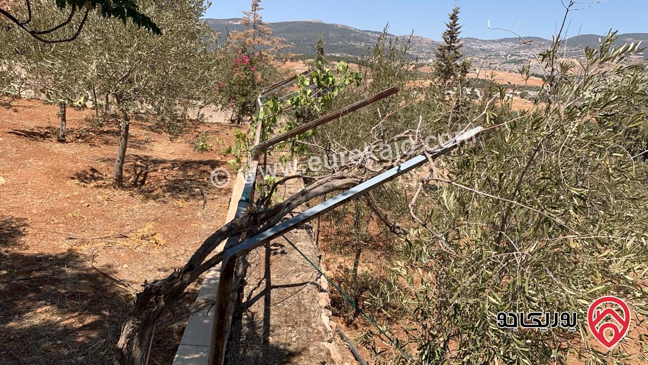 مزرعة مساحة الأرض 2 دونم للبيع بدون منزل في جرش حي الجبارات