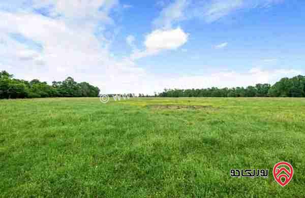 ارض مساحة 501م للبيع من أراضي شمال عمان - شفابدران - زينات الربوع 