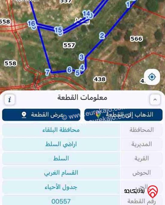 قطعتين أرض مساحة كل قطعة 9 دونم و 500م للبيع بسعر 90 ألف للقطعتين في السلط - القسام الغربي