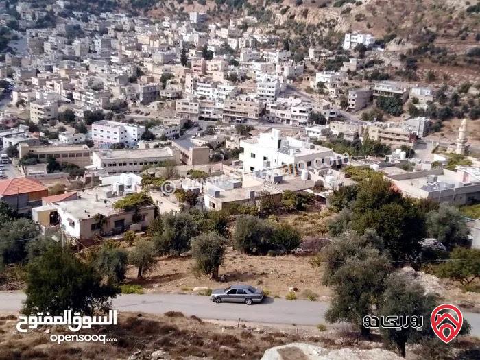 أرض مساحة 2 دونم و 197م للبيع في عجلون - عين جنا بإطلالة مباشرة على قلعة عجلون