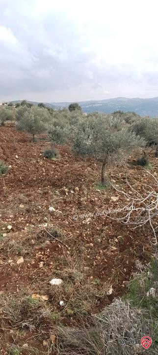 ارض مساحة 4 دونم للبيع في عجلون برقش