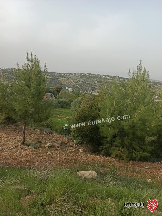قطعة ارض مساحة 3 دونم و 600م للبيع في منطقة السلط - سلعوف 