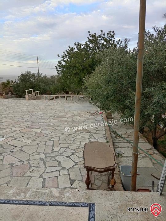 قطعة أرض مساحة 10 دونم و 704م للبيع في الزرقاء - بيرين