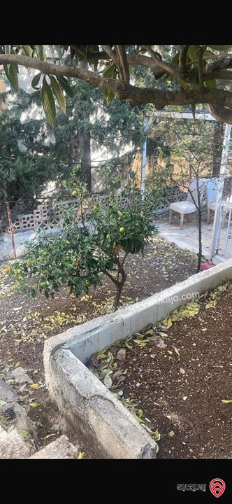 شقة ارضية مساحة 133م داخلي و 550م خارجي للبيع في عمان - ضاحية الحسين الرابية