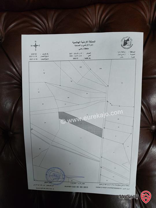ارض مساحة 7 دونم و 357م للبيع من أراضي مادبا ذيبان البحر الميت 