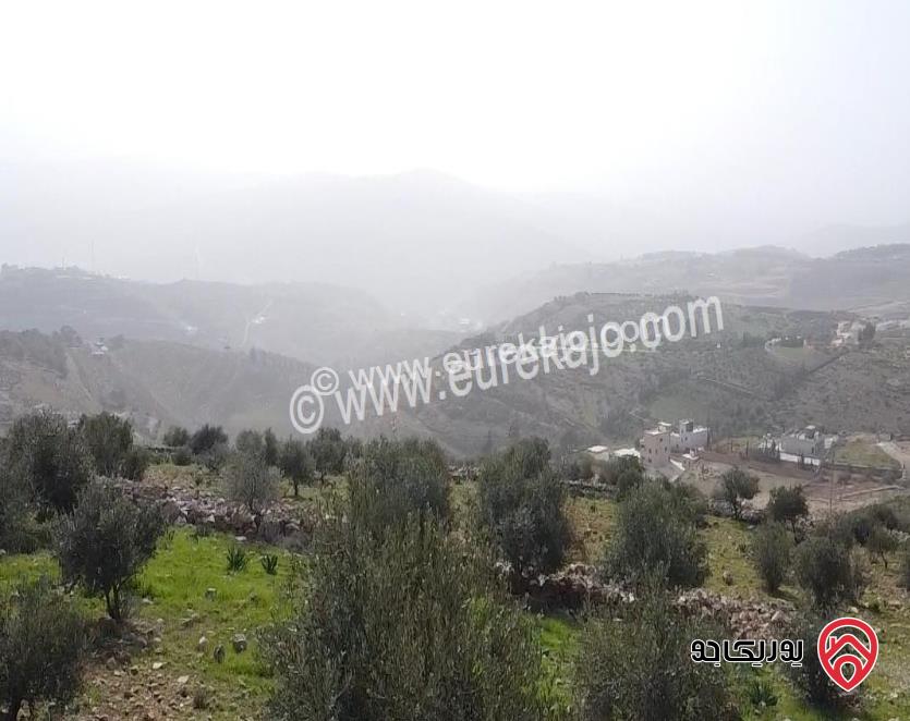 ارض مميزة مساحة 2 دونم للبيع في جرش بالقرب من جامعة جرش ومقابل جامعة البلقاء فرع جرش