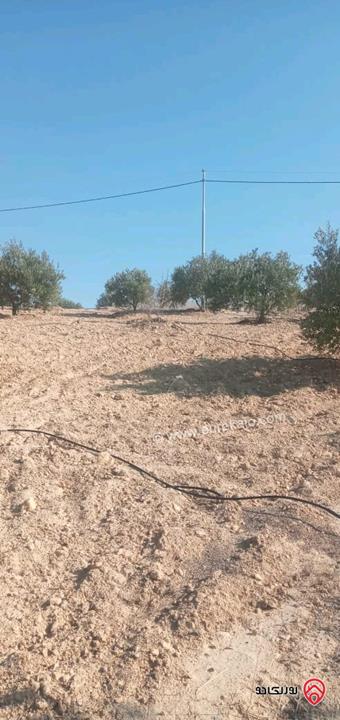 قطعة أرض مساحة 5 دونم و 700م للبيع من أراضي جنوب عمان - الدليلة