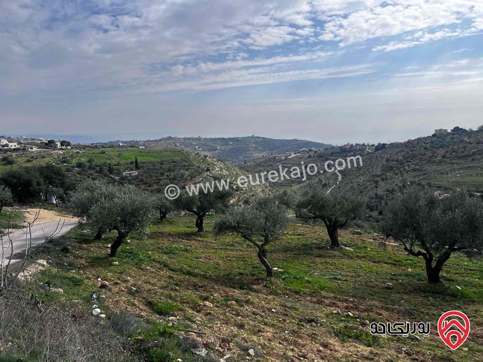 قطعة أرض زراعي مساحة 8 دونم و 830م للبيع في السلط - المغاريب 