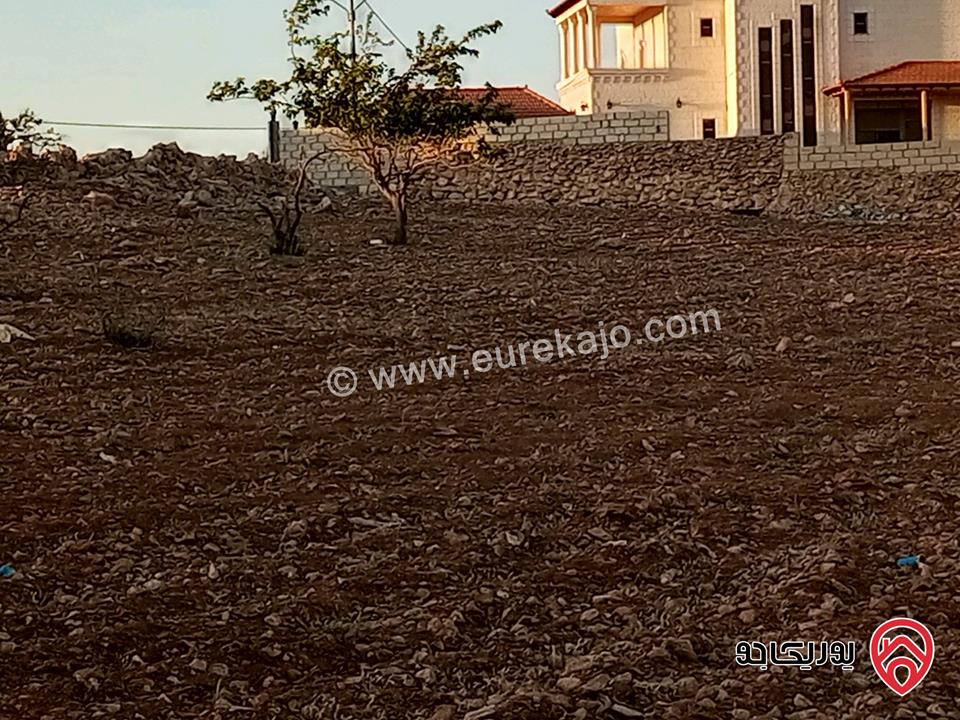 قطعة أرض مساحة 3 دونم و 400م للبيع في المفرق