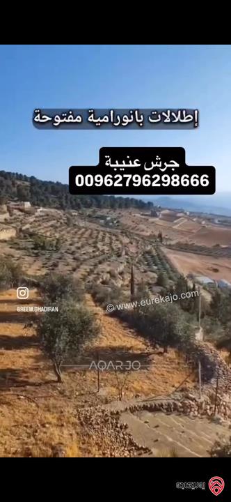 قطعة ارض استثمارية مساحة 3 دونم و 400م للبيع في جرش عنيبة