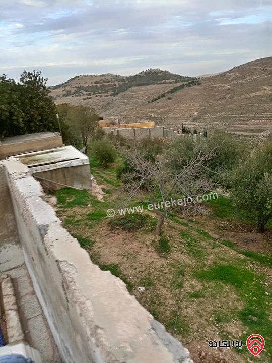 قطعة أرض مساحة 10 دونم و 704م للبيع في الزرقاء - بيرين