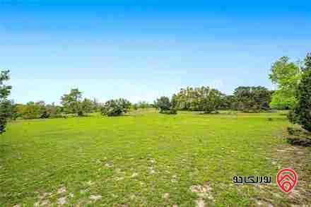 قطعة أرض مساحة 733م للبيع من اراضي جنوب عمان - خريبة السوق وجاوا 