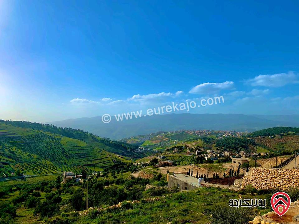 مزرعة مساحة الأرض 4 دونمات مع شاليه 250م للبيع في جرش خلف جامعة فيلادلفيا