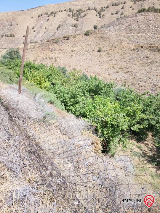 مزرعة مساحة 14 دونم مشجرة ومسيجه فيها بيت للبيع في ناعور وادي السليط 