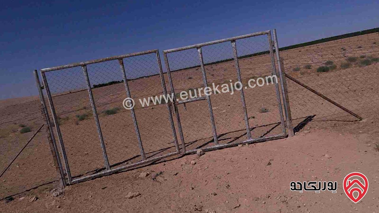 أرض مساحة 10 دونم للبيع من أراضي جنوب عمان - ام الرصاص 