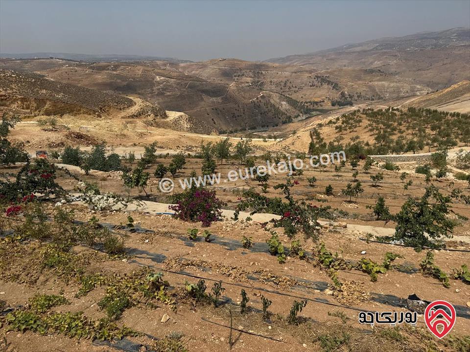  مزرعة مميزة مساحة الأرض 5 دونم و 980م والبناء 200م للبيع في تل الرمان، شمال عمان