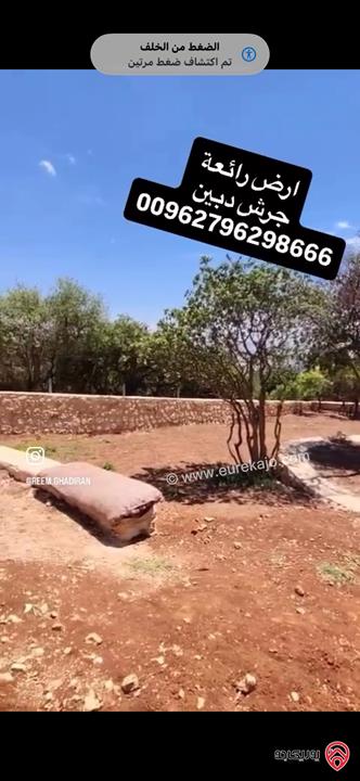 قطعة ارض مميزة مساحة 1 دونم للبيع في جرش - دبين
