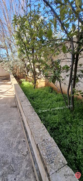 شقة طابق أرضي مساحة 100م داخلي و 80م خارجي للبيع في عمان - طبربور