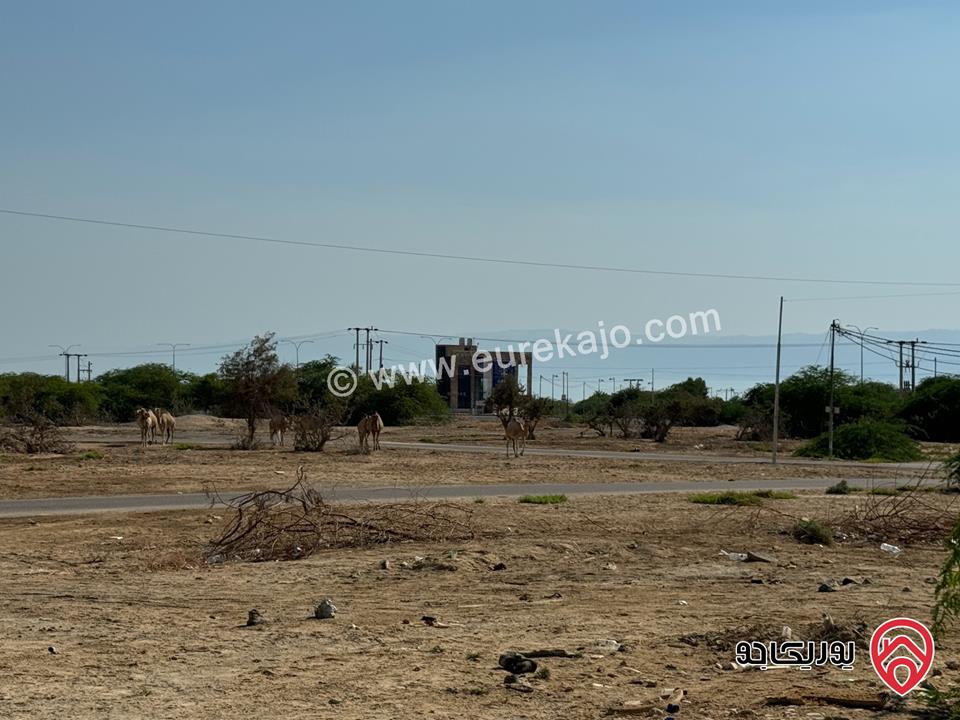 أرض استثمارية مساحة 445م للبيع في البحر الميت - الرامة منطقة شاليهات