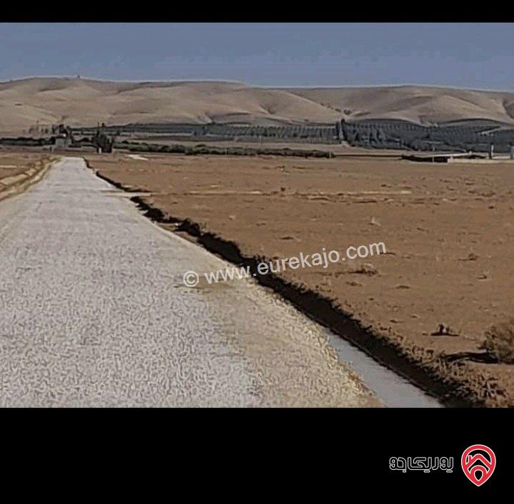 أرض مساحة 1 دونم للبيع في عمان - الجيزه حوض 3 الموارس من المالك بسعر مناسب 