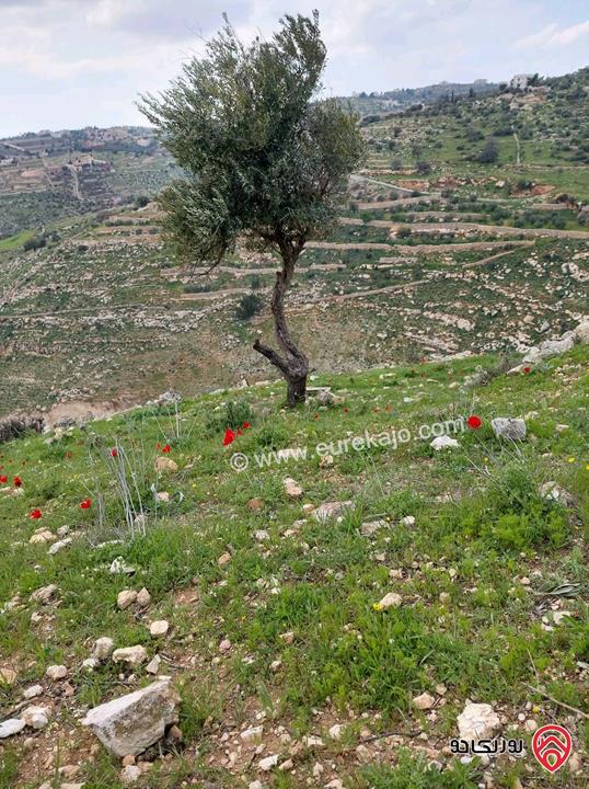  أرض سكنية للبيع في السلط - الجبيل مساحة 1052م (تصنيف أ)