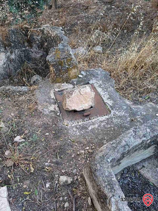 مزرعة مساحة 14 دونم للبيع في اربد - أراضي بني كنانة منطقة سمر