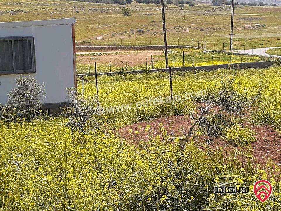 مزرعة نظام شاليه مساحة الأرض 7 دونم والبناء 140م للبيع في المفرق حمامه العموش 