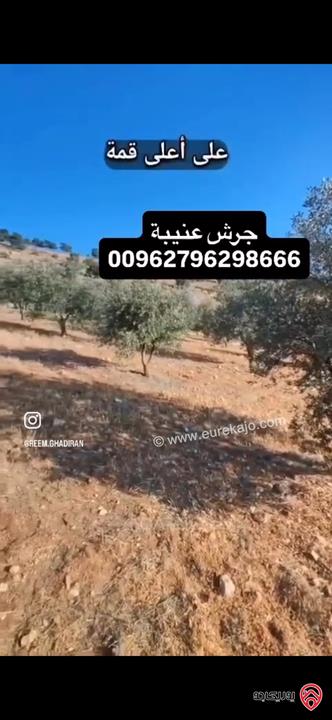 قطعة ارض استثمارية مساحة 3 دونم و 400م للبيع في جرش عنيبة