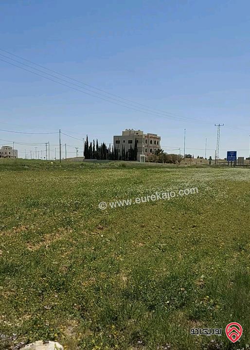 أرض مميزة مساحة 503م للبيع في عمان - الطنيب تبعد 400م عن ممر عمان التنموي