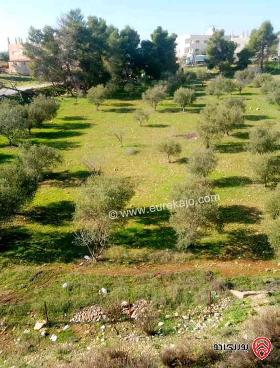 ارض مساحة 1 دونم و 27م للبيع في السلط القسام الغربي بطنا 