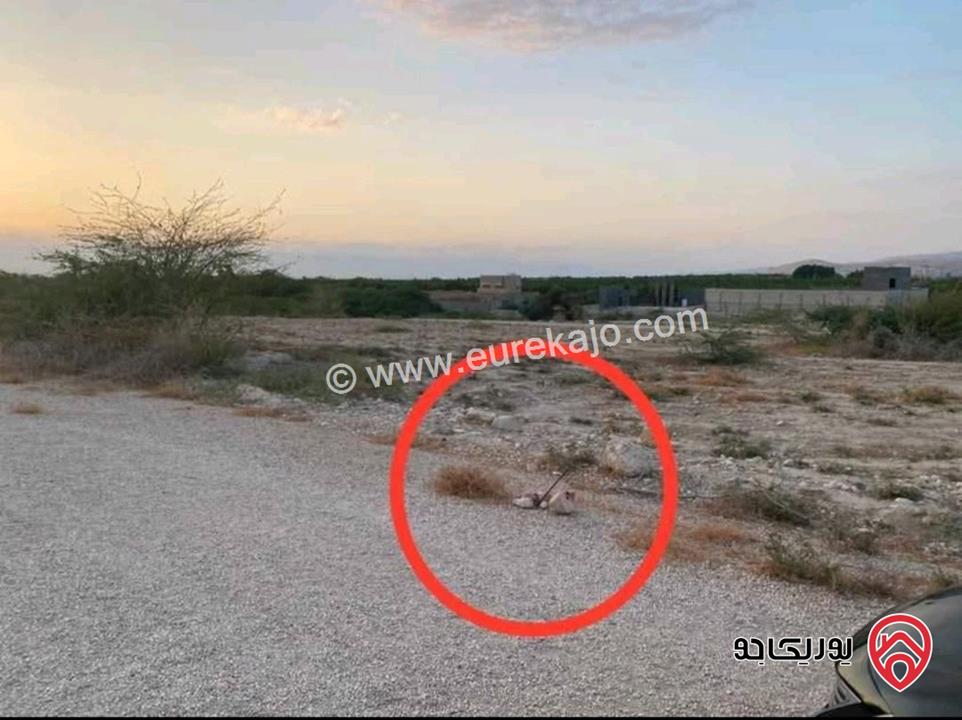 ارض مميةه مساحة 380م للبيع في البحر الميت - الروضة غور الرامة حوض 7 الشاغور تصلح لعمل شاليه فخم تنظيم سكن د