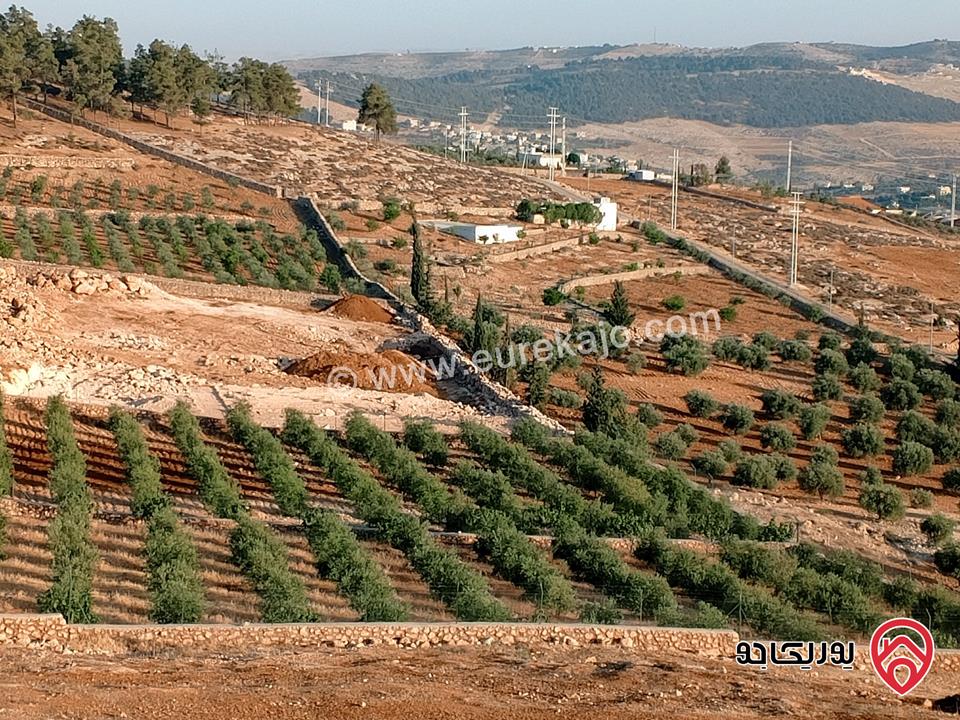 أرض مساحة 4 دونم و 700م للبيع في المفرق