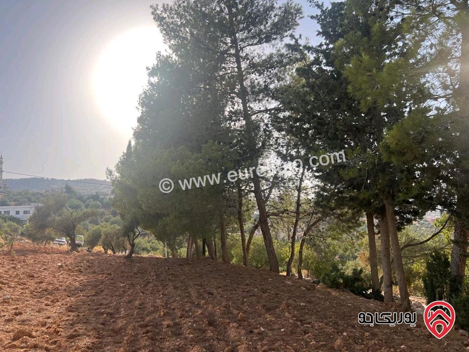 قطعة أرض ريفية مساحة 7 دونم للبيع في في جرش سوف حوض بيدر الحمص 