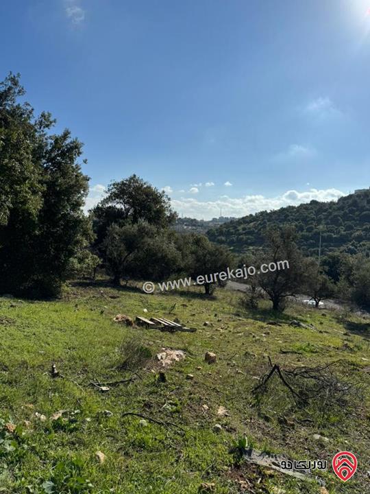 أرض سكنية مساحة 856م للبيع في عمان - بدر الجديدة  حوض الميسر