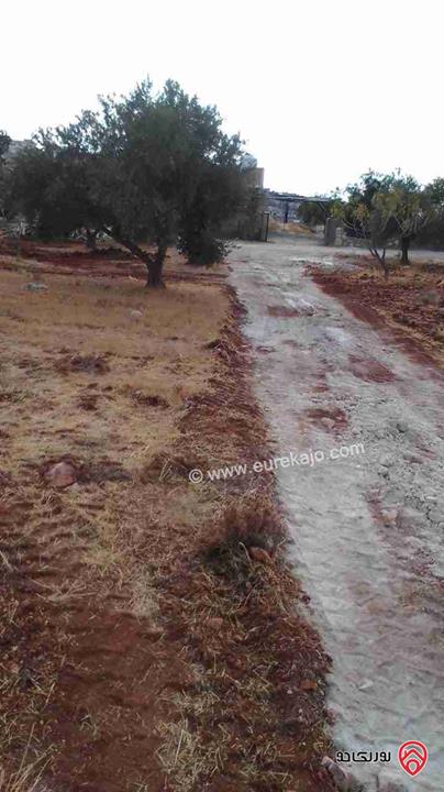 قطعة أرض مساحة 750م للبيع في بدر الجديدة